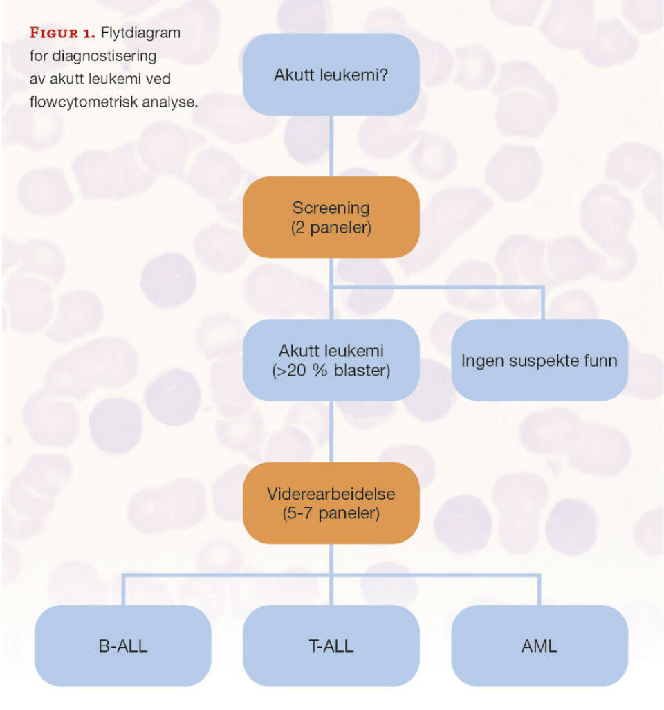 Slik påvises akutt leukemi med flowcytometri
