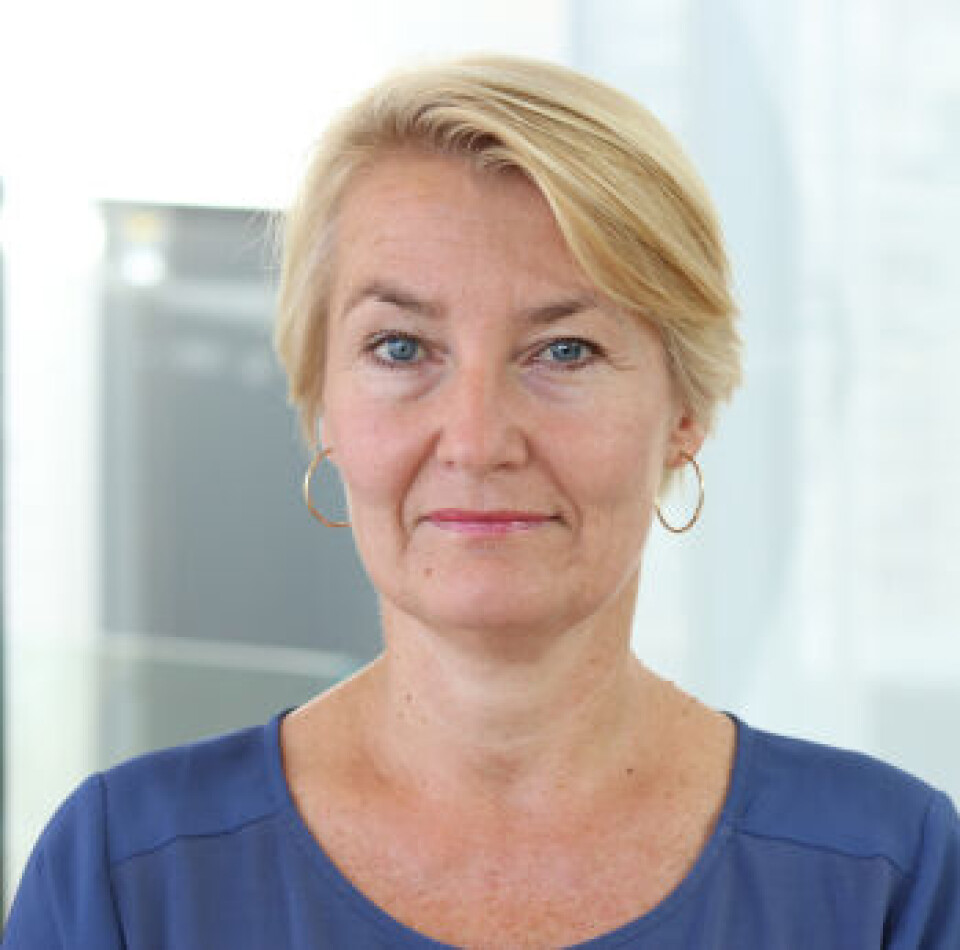 Birgitte Jensen Egset, avdelingsdirektør i Direktoratet for e-helse. Foto: Direktoratet for e-helse