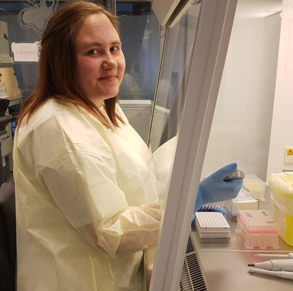 Pandemien skapte store utfordringer for laboratoriene. Blant annet ble det akutt behov for mer personell til å analysere koronaprøver. Her jobber Silje Nysted Hagen med koronaprøver på Nordlandssykehuset i Bodø, våren 2020. Foto: Privat