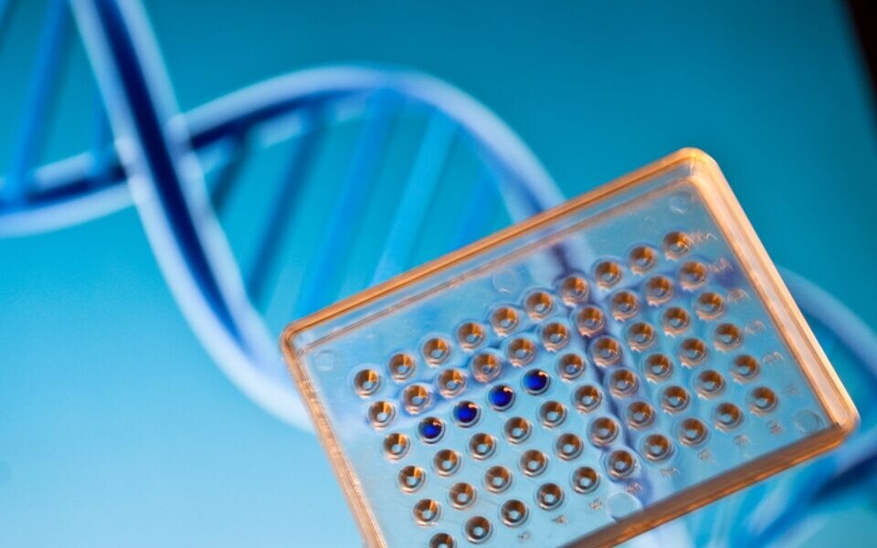 Kunnskap om Neste Generasjons Sekvensering (NGS) er viktig for kommende bioingeniører, mener artikkelforfatterne. Illustrasjon: iStockphoto