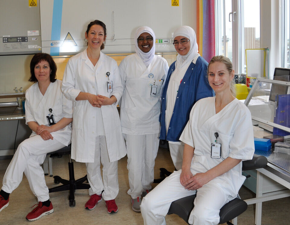 Fagbioingeniør Liv Kjersti Paulsen (nr. to fra venstre) veileder fire bioingeniørstudenter som skriver bacheloroppgave ved Mikrobiologisk avdeling ved Sykehuset Vestfold. Studentenes bachelorprosjekt er en del av et forskningsprosjekt som Paulsen leder. Fra venstre Elena Haugen, Muna Dahir Ahmed, Sanaa Mehmood og Hanne Urdal. Foto: Frøy Lode Wiig