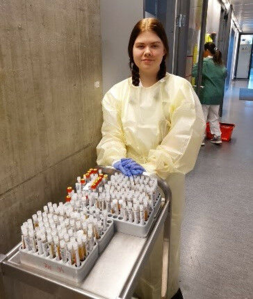 Fremdeles kastes en del av blodprøvene manuelt på Nordlandssykehuset. Det er Benediktes jobb. Foto: Tove Hvassing