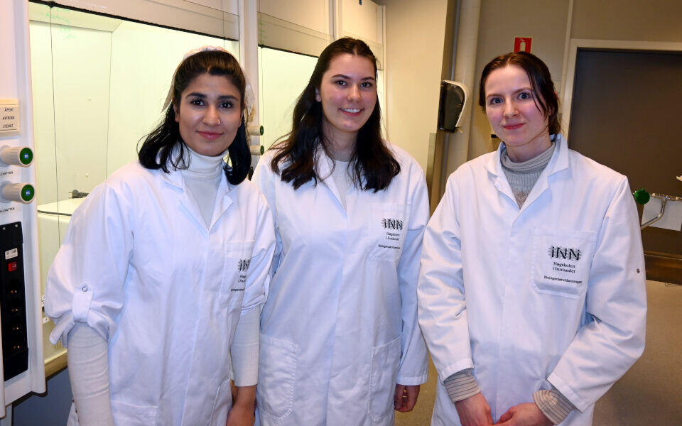 Bioingeniørstudentene Nawisa Falahzadeh (til venstre), Louise Hoberg og Elvida Skare har startet underskriftskampanje for å få statlig finansiering av bioingeniørutdanninga på Hamar. Foto: Eli Johanne Haugen, Hamar Arbeiderblad