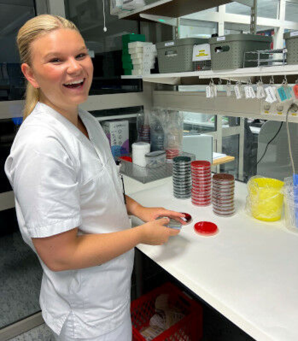 Adine Ingesen er bioingeniør fra det første kullet utdannet ved Høgskolen i Innlandet, og allerede ute i jobb ved mikrobiologisk avdeling på Lillehammer sykehus.