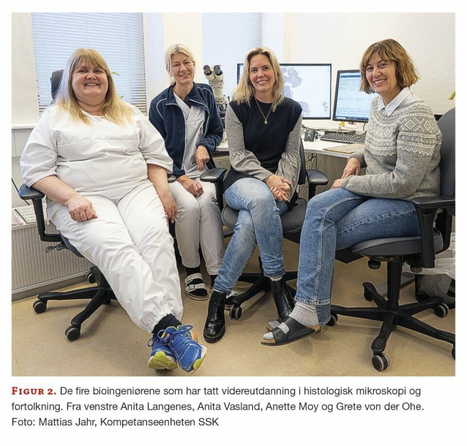 Fra cervixcytologi til tarmscreening