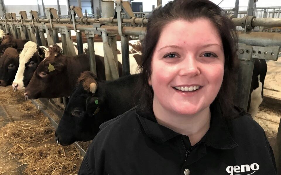 BIOINGENIØREN OG OKSENE: Renate Veflingstad trives med å jobbe med dyreavl. Hun står klar til å ta imot prøven etter sæduttak og kan følge den hele veien til ferdig produkt. BIOINGENIØREN OG OKSENE: Renate Veflingstad trives med å jobbe med dyreavl. Hun står klar til å ta imot prøven etter sæduttak og kan følge den hele veien til ferdig produkt.