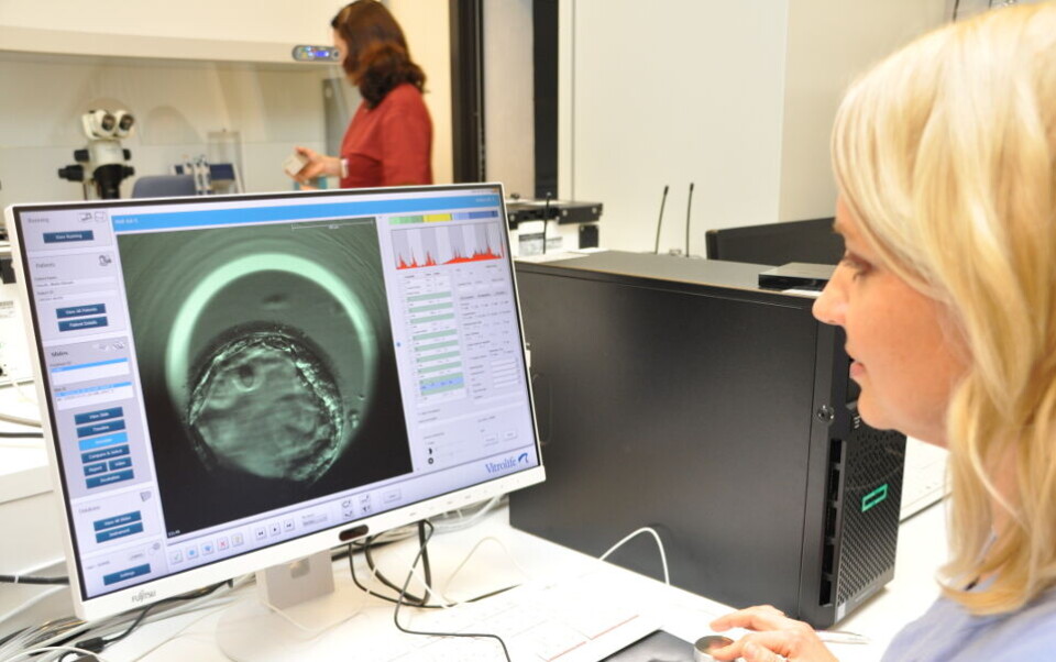 EMBRYO: Ved Fertilitetssenteret blir alle befruktede egg lagt i en inkubator kalt embryoskop. Der tas det bilder av embryoet hvert syvende minutt slik at embryologene kan følge med på utviklingen. Nå skal forskere bruke bildemateriale til å lage algoritmer som kan si noe om kjennetegn og celledeling ved embryoer som har størst sannsynlighet for å gi barn. Her er det bioingeniør og klinisk embryolog Anne Hancke-Framstad som ser hvordan et nylig befruktet egg utvikler seg. Foto: Svein A. Liljebak
