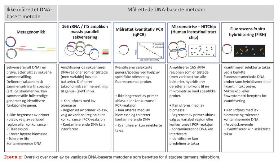 Bakterier i tarmen som mulige biomarkører for deteksjon av kolorektal kreft