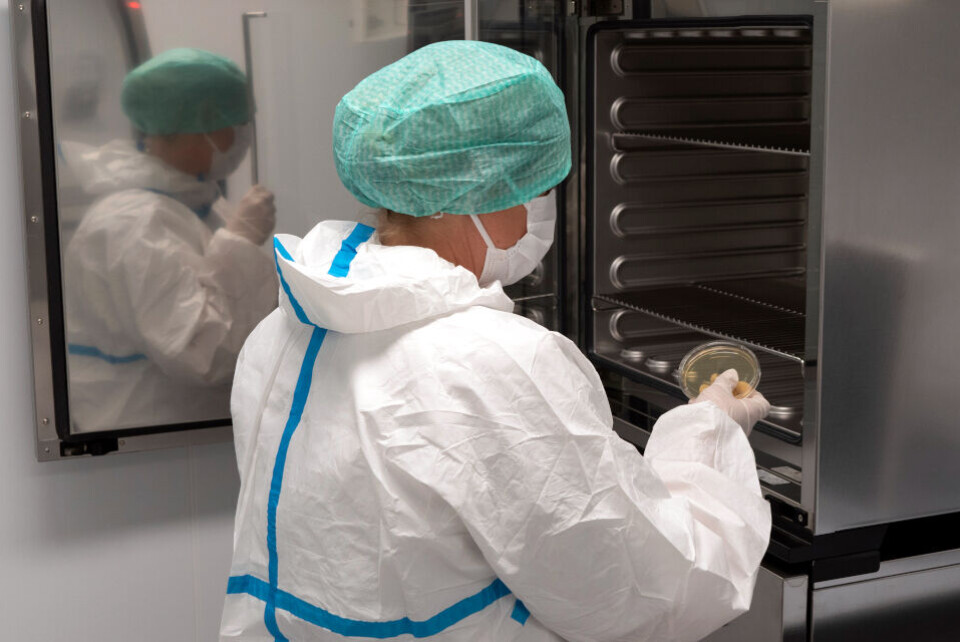 Elin Strand setter en agarskål til dyrkning i inkubatorskap, som del av en omfattende monitorering og testing av labens renhet. Foto: Øystein Fykse, Helse Bergen