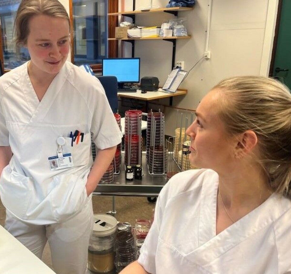 Flere yrkesgrupper tett i tett