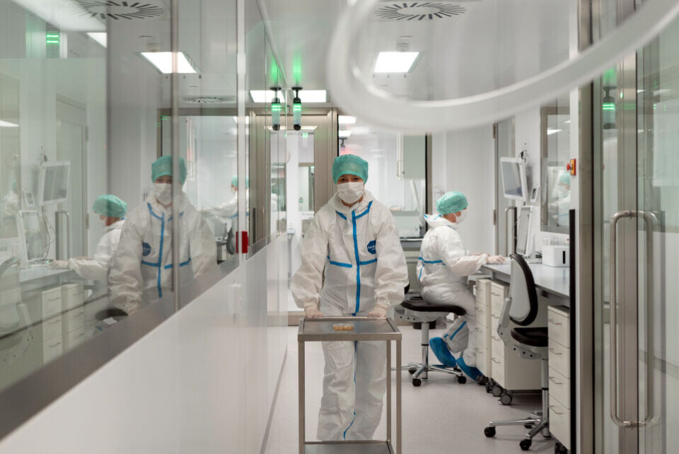 Petra Vogelsang (til venstre) og Elin Strand beskytter celleproduksjonen mot kontaminasjon ved å være godt påkledd. Foto: Øystein Fykse, Helse Bergen