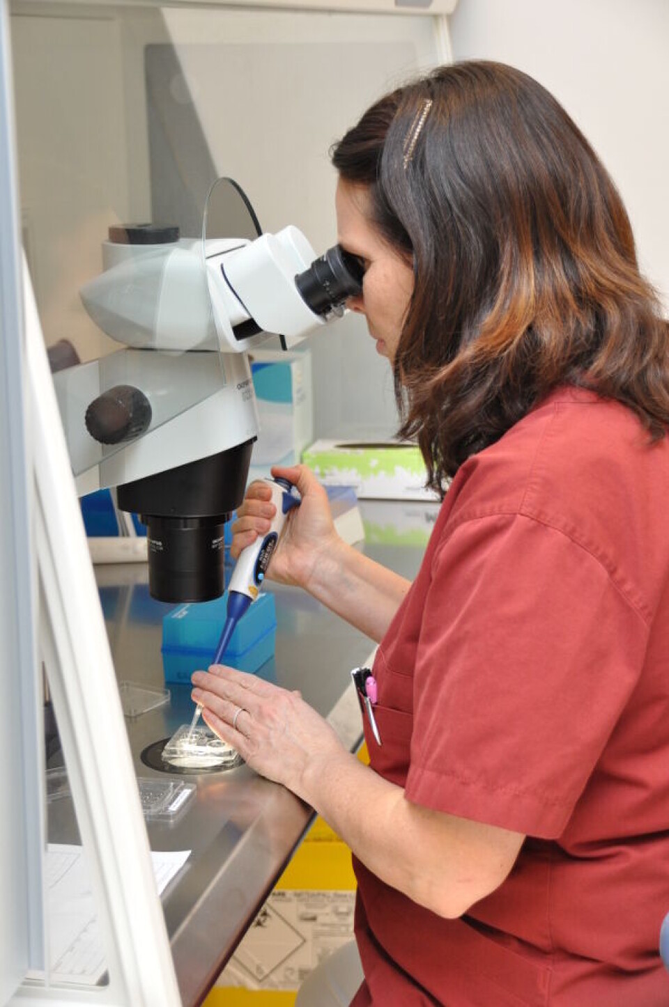 BEFRUKTER: Bioingeniør og klinisk embryolog Anniken Sværk Nøkleby utfører in vitro-fertilisering (IVF). I glasskålen ligger eggceller som Sværk Nøkleby sprøyter spermier over. Foto: Svein A. Liljebakk