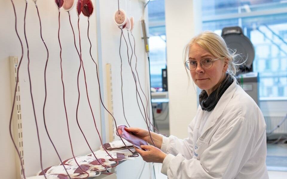 I en krigssituasjon trengs store mengder fullblod. Overlege Torunn Oveland Apelseth er leder for Norsk koordineringssenter for blodberedskap (Nokblod). Hun er bekymret for blodberedskapen. Foto: Kristin Risa