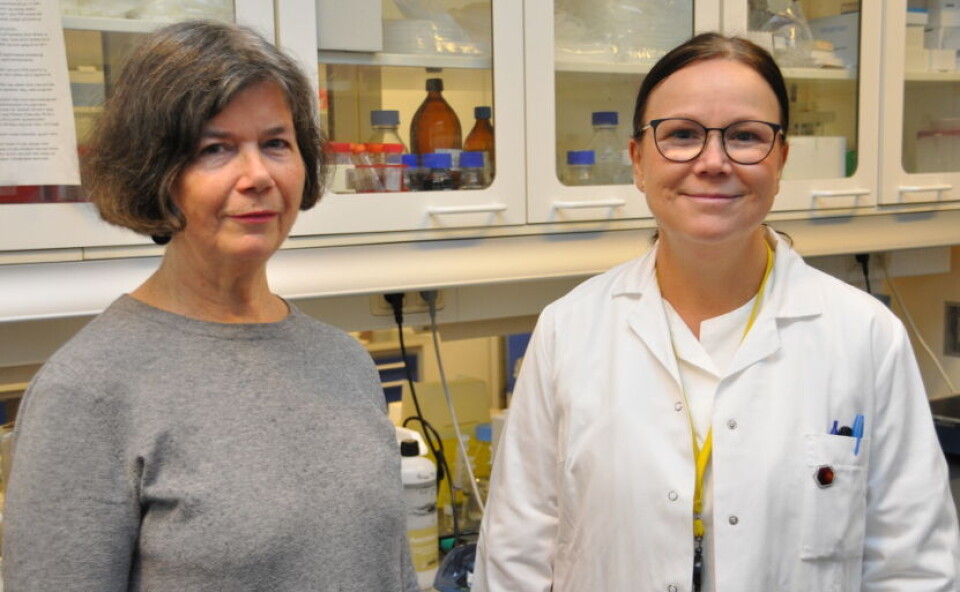FORSKERE: Professor Trine B. Haugen (til venstre) leder den tverrfaglige forskningsgruppen ReproAI som er tildelt 10 millioner kroner fra Forskningsrådet. Bioingeniør Eldri Undlien Due er også tilknyttet prosjektet. Foto: Svein A. Liljebakk