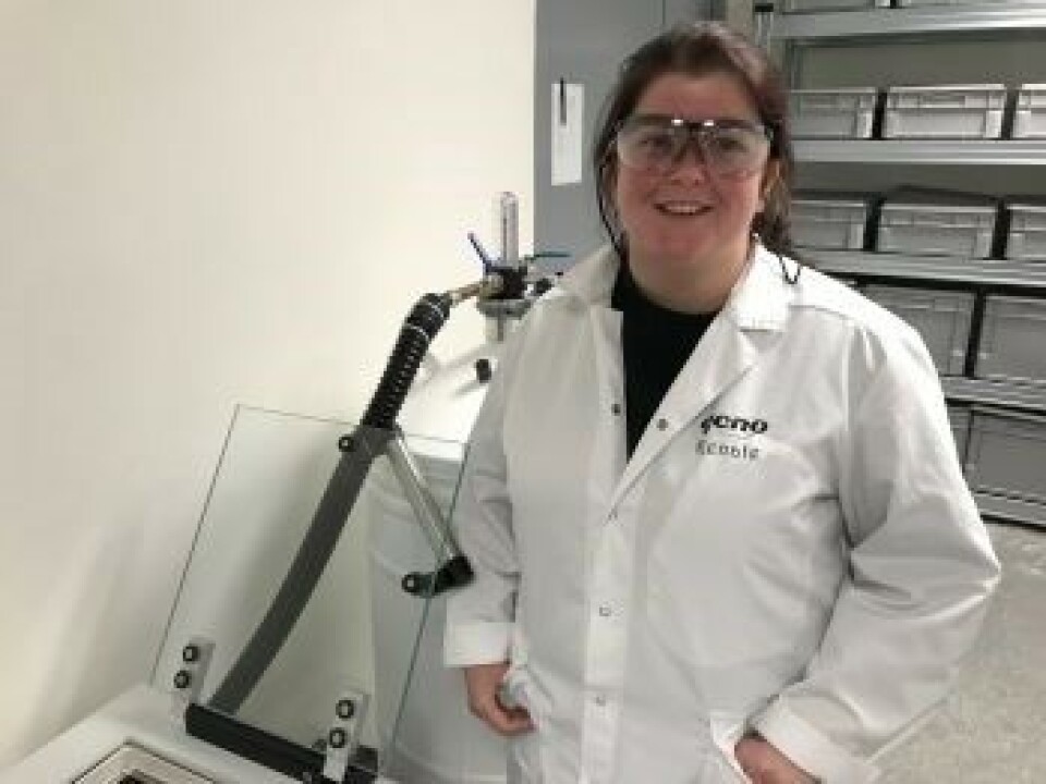 PÅ LABORATORIET: Kjønnssepareringen skjer ved hjelp av laser. Strålene kan gi alvorlig øyeskade og vernebriller er derfor påbudt hele tiden på dette laboratoriet, forteller Renate Veflingstad. PÅ LABORATORIET: Kjønnssepareringen skjer ved hjelp av laser. Strålene kan gi alvorlig øyeskade og vernebriller er derfor påbudt hele tiden på dette laboratoriet, forteller Renate Veflingstad.