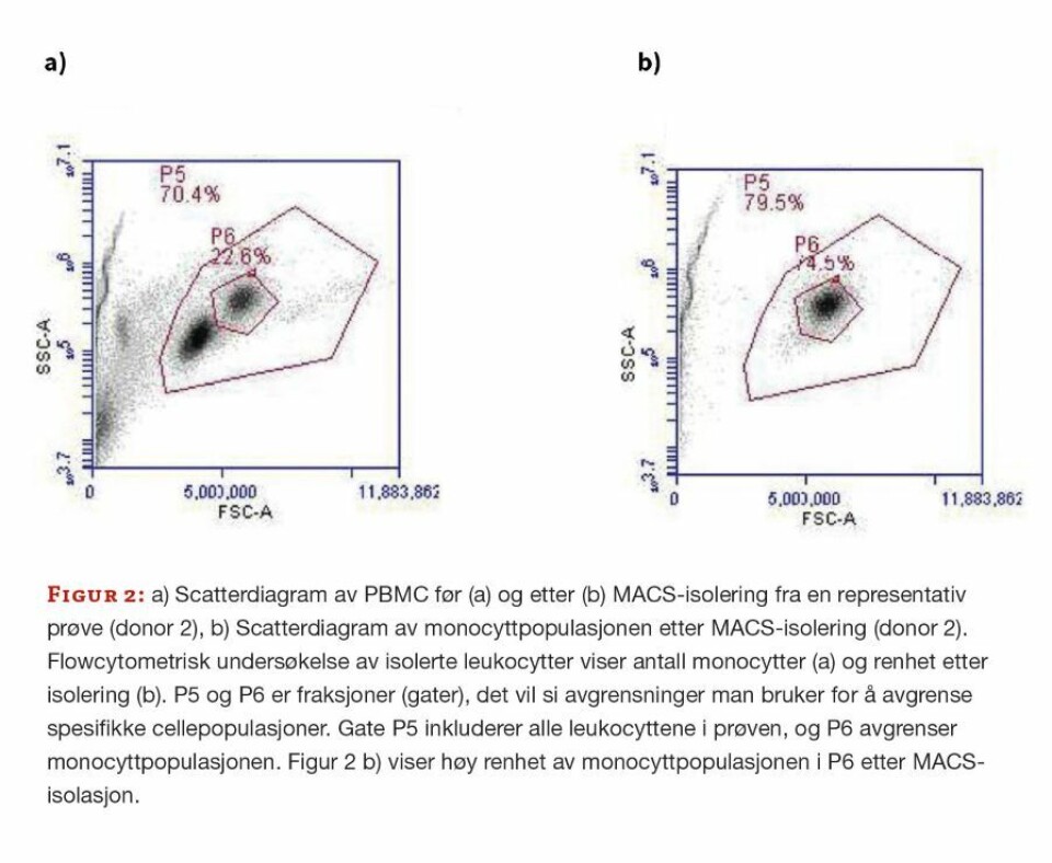 Metylering av genomisk DNA hos monocytter og makrofager