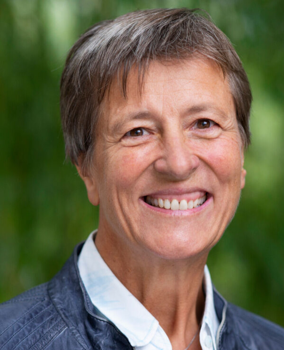 Man kan ha en god og langvarig utdanning, men hvis den ikke er pasientrettet på samme måte som den norske, oppfyller den ikke kravene til autorisasjon, sier Inger-Lise Neslein. Foto: Privat