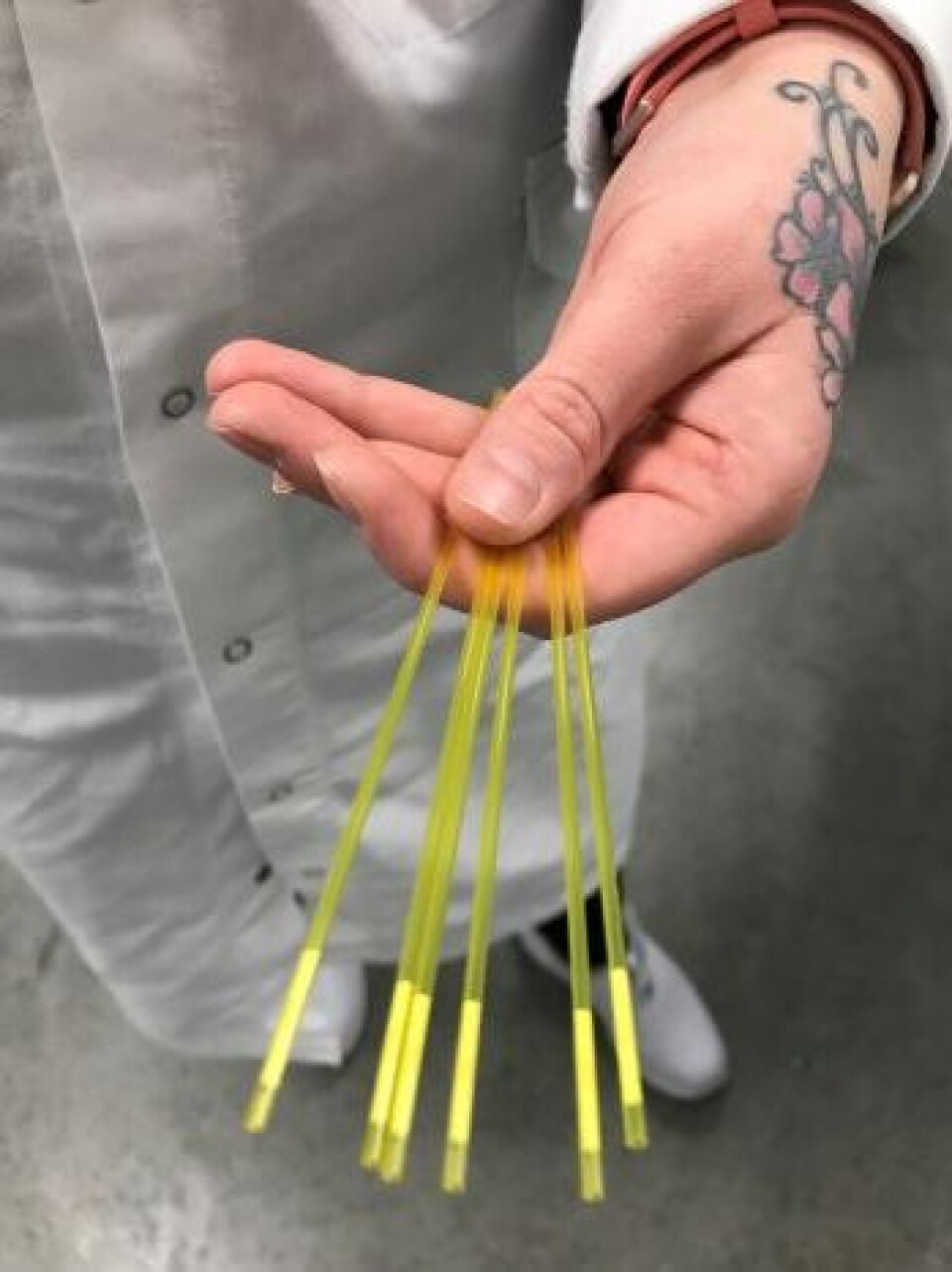 TIL INSEMINERING: I tillegg til vanlig sæd tilbyr Geno blant annet kjønnsseparert sæd hvor de aller fleste Y-kromosombærende sædcellene er inaktivert. Renate Veflingstad viser frem rørene cellene fylles i før de fryses ned. TIL INSEMINERING: I tillegg til vanlig sæd tilbyr Geno blant annet kjønnsseparert sæd hvor de aller fleste Y-kromosombærende sædcellene er inaktivert. Renate Veflingstad viser frem rørene cellene fylles i før de fryses ned.