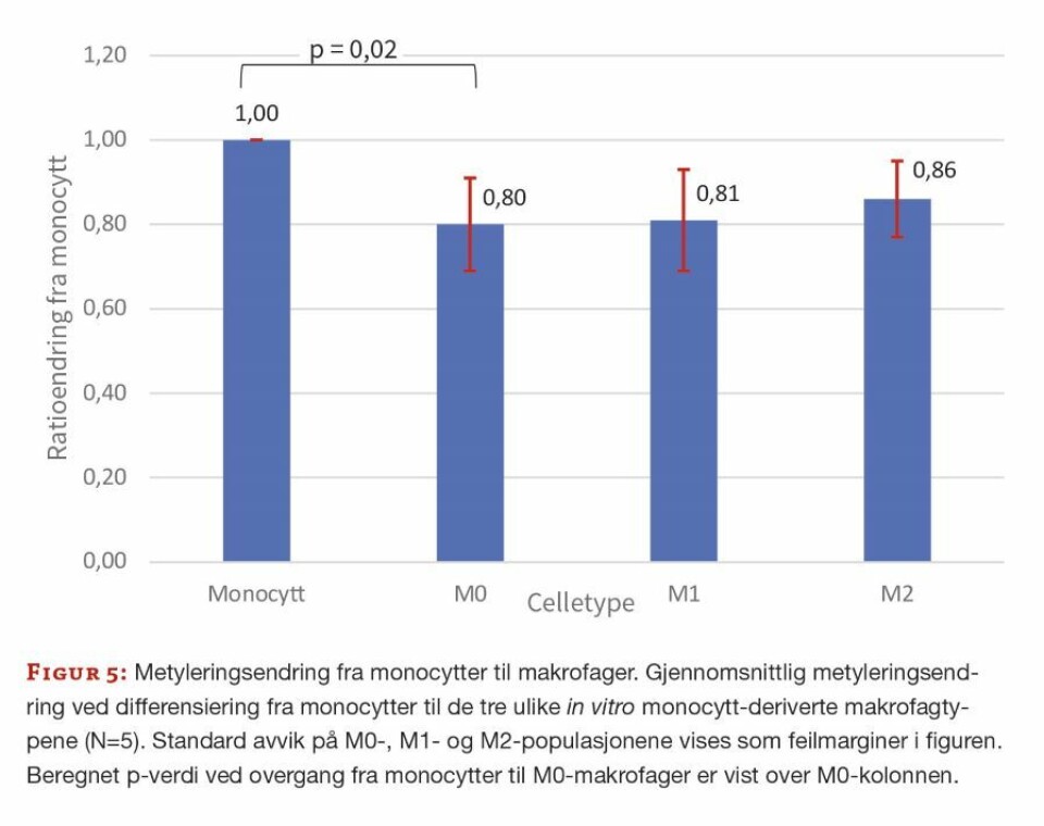 Metylering av genomisk DNA hos monocytter og makrofager
