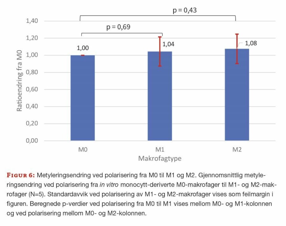Metylering av genomisk DNA hos monocytter og makrofager