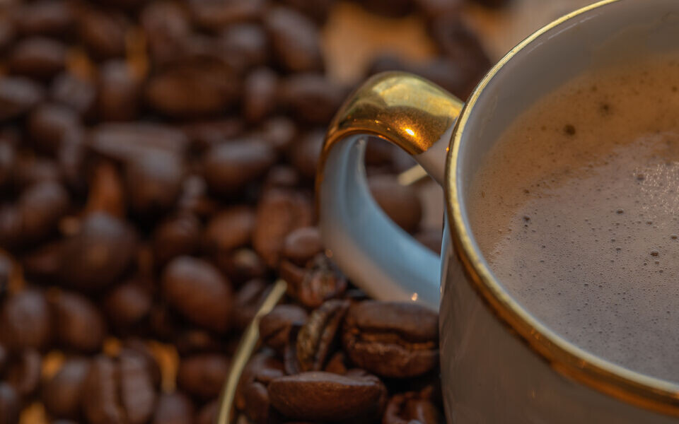 Bioingeniørstudenter bidrar i forskningsprosjekt om kaffe og kolesterol