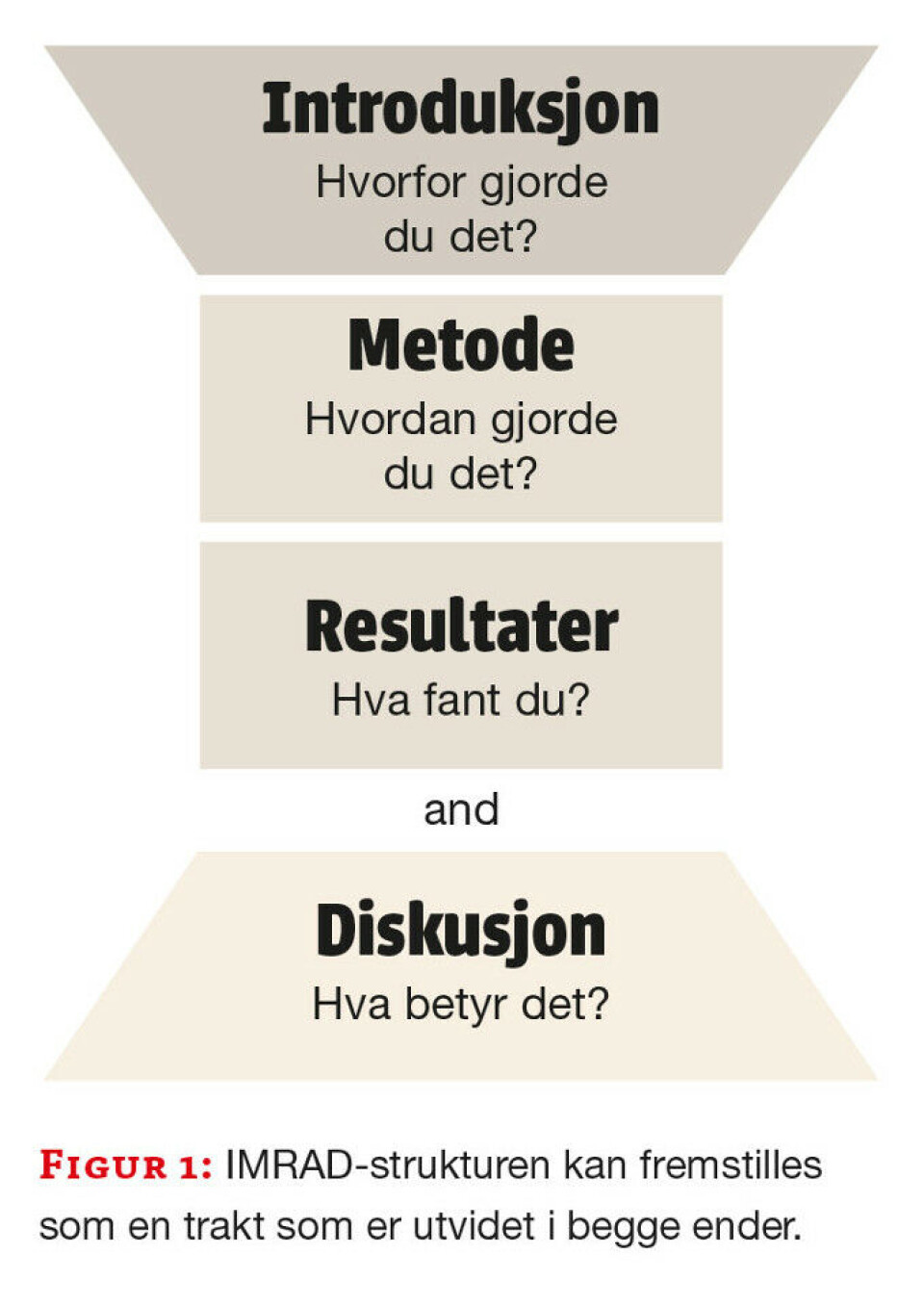 Slik skriver du en vitenskapelig artikkel