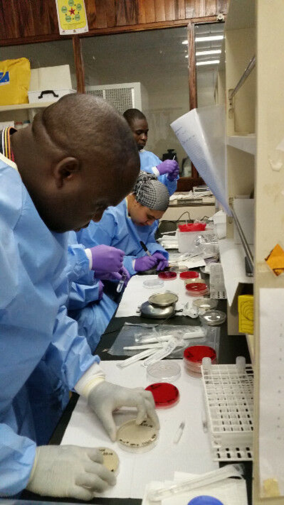 Prosjektdeltakere i Malawi får opplæring i påvisning av antibiotikaresistens. Kvinnen med hodeskaut heter Faheema Choonara og er doktorgradsstudent. Helsevesenet i landet mangler det meste, og det gjøres lite forskning. For å få gjennomført sitt doktorgradsarbeid, har Choonara betalt reagenser og annet utstyr av egen lomme. Foto: Bjørg Haldorsen Laboratorium i Malawi