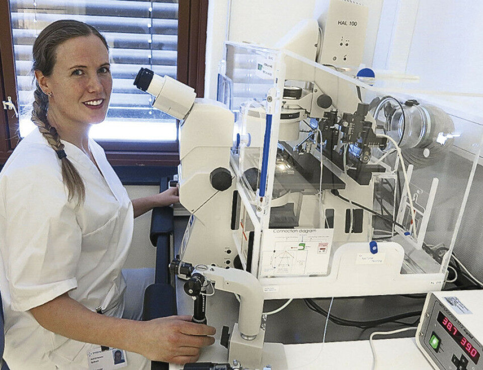 Under dette mikroskopet – tilkoblet et kuvøsekammer – gjør Astrid Helene Sydtveit mikroinjeksjoner (ICSI). Foto: Grete Hansen.
