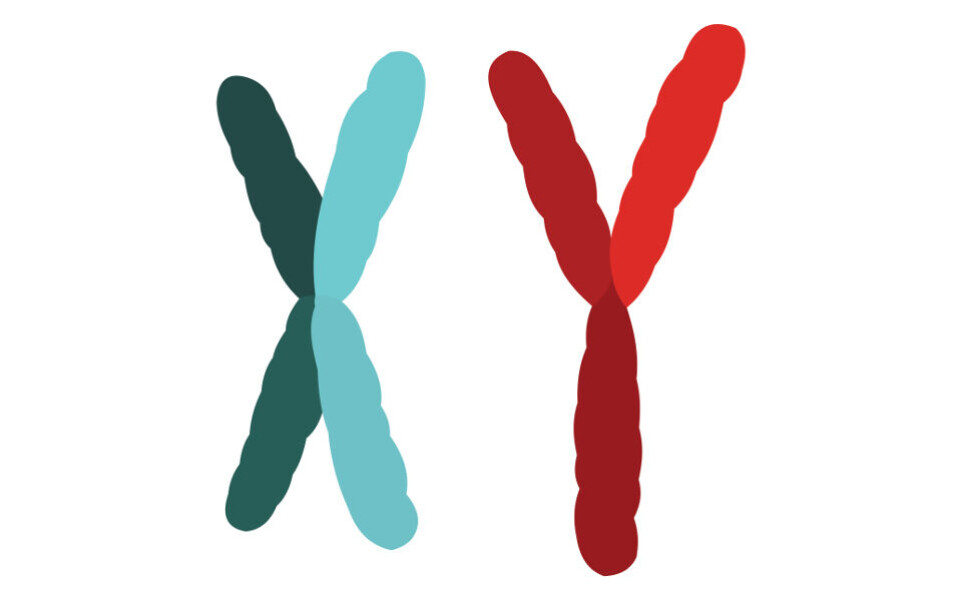 Jeg skulle analysere en beinmargsprøve fra en kvinne, men oppdaget til min forskrekkelse at prøven inneholdt mannlige kjønnskromosomer. Illustrasjon: iStockphoto