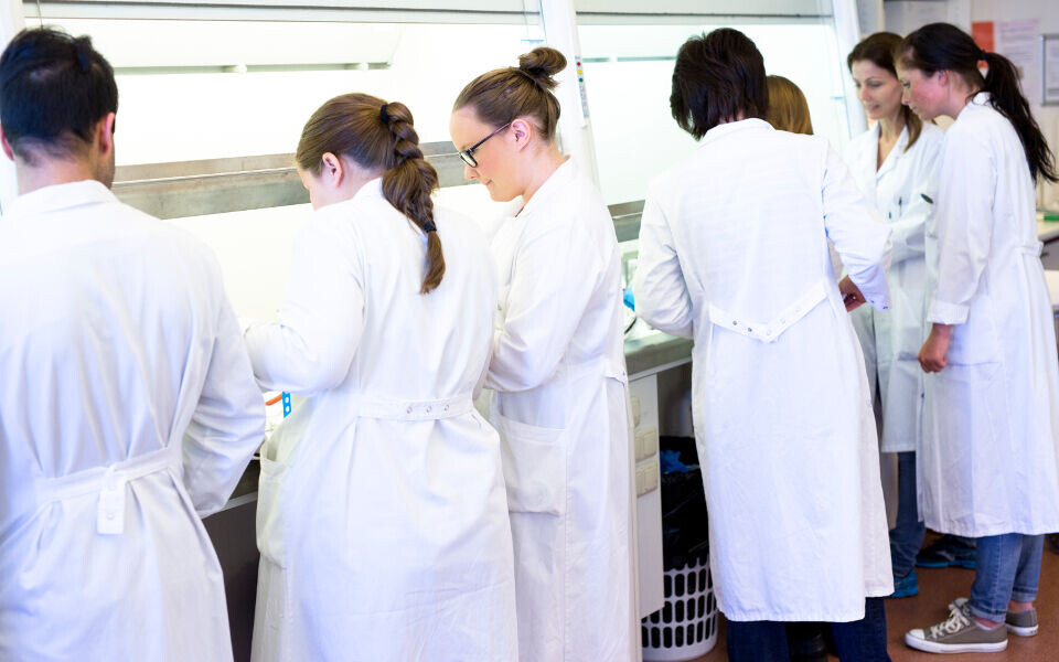 Antall søkere med bioingeniørutdanning som førstevalg i opptaket til høyere utdanning har økt hvert år siden 2012. Det gjenspeiles i karakterkravene. Illustrasjonsfoto: Annette Larsen
