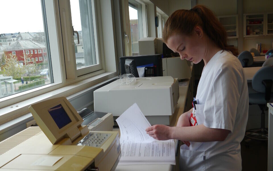 Caroline Rogstad, bioingeniørstudent ved NTNU i Trondheim, i dyp konsentrasjon under praktisk eksamen. Foto: Grete Hansen