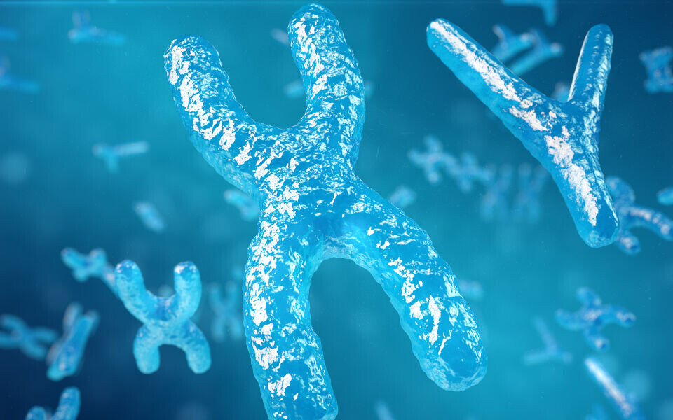 Personer som skifter kjønn endrer navn og personnummer i folkeregisteret, men de beholder sin opprinnelige genotype. Dersom vi gjør kromosomanalyse av en person etter kjønnsskifte, vil vi derfor påvise kjønnskromosomer som ikke stemmer overens med oppgitt kjønn på rekvisisjonen. Illustrasjonsfoto: iStockphoto