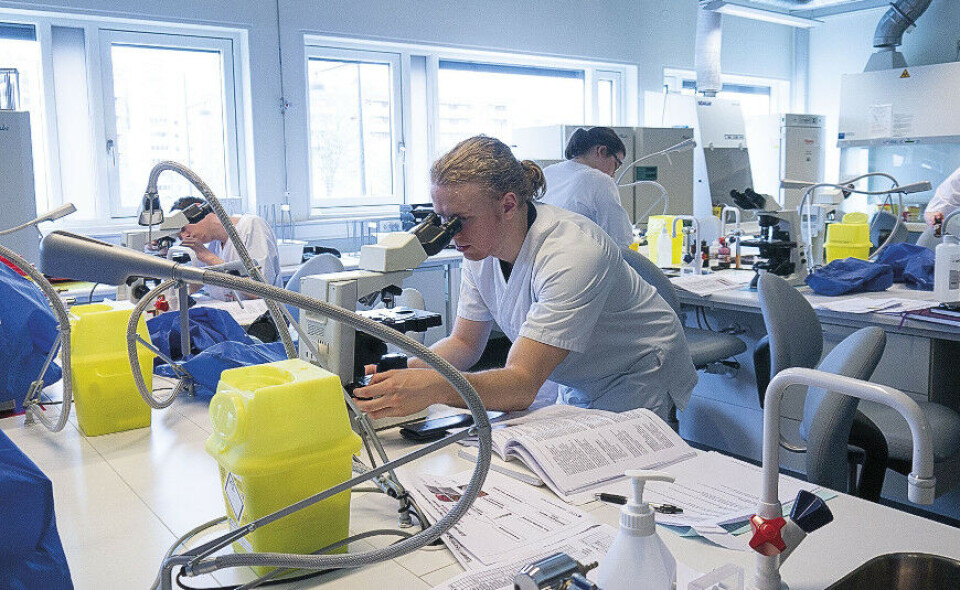 Studentene får tre oppgaver og en time på hver av dem. Helge Monsson er snart klar for å logge resultater i mikrobiologi, men må sjekke i mikroskopet først. Foto: Grete Hansen
