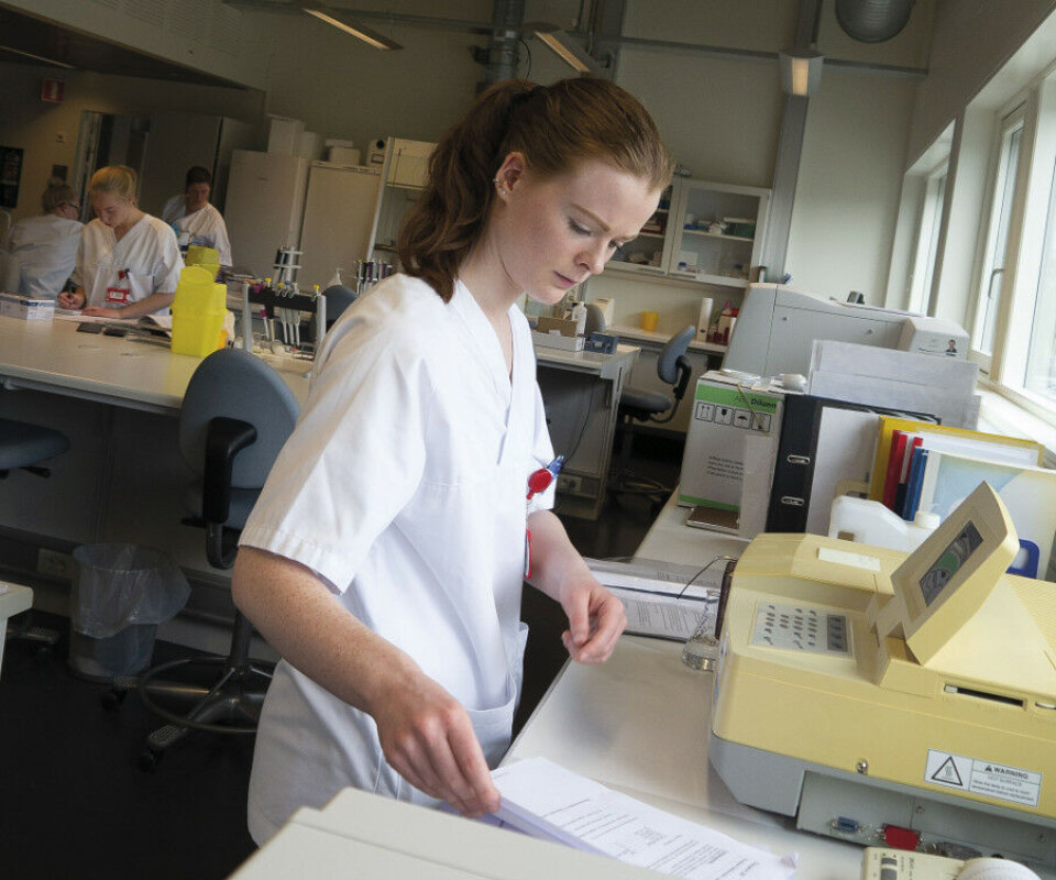 Konsentrasjon. Caroline Rogstad skal snart levere log for en oppgave om totalprotein. Foto: Grete Hansen