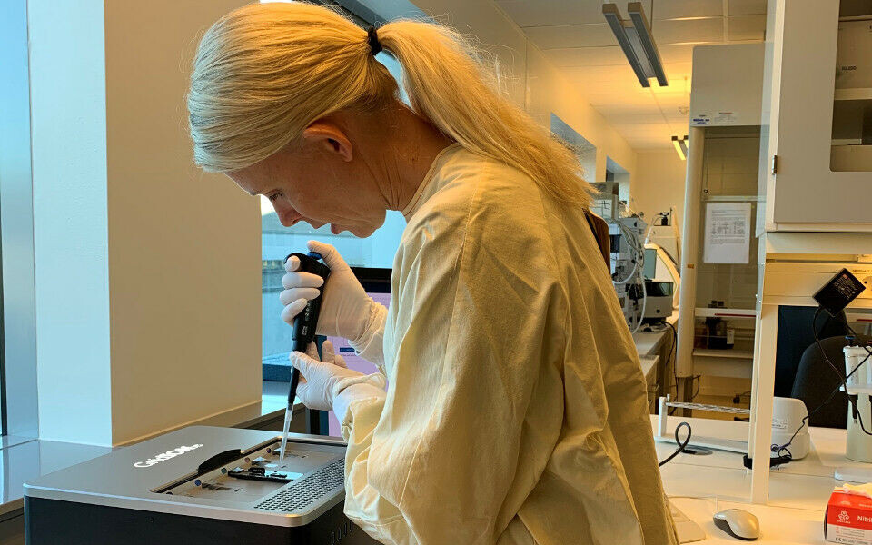 Siden 2008 har Hege Vangstein Aamot forsket på molekylær epidemiologi og molekylære teknikker for å påvise bakterier og bakterienes genetiske egenskaper. Foto: Karin Helmersen