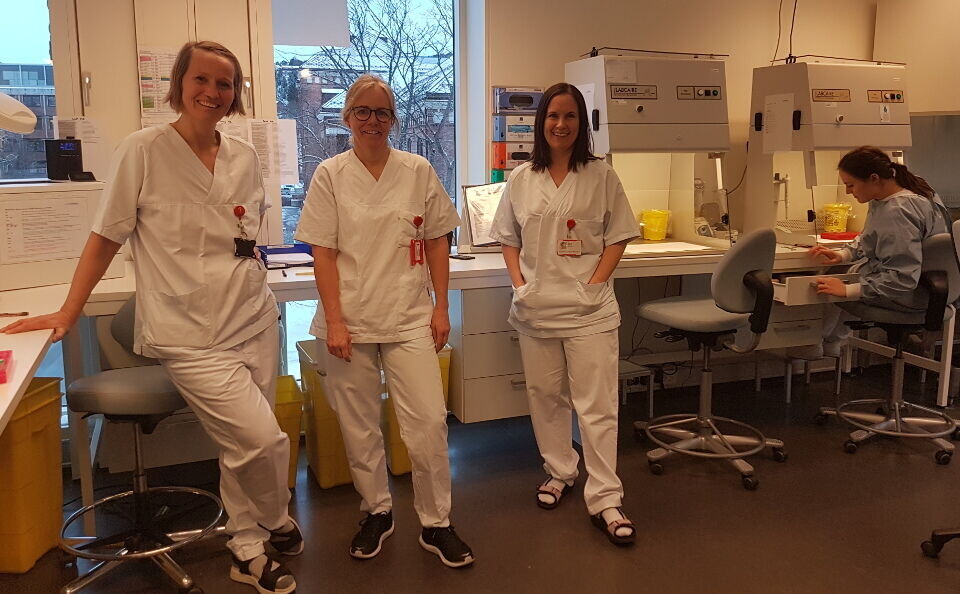 Silja Egilsdottir (fra venstre), An-Magritt Stjern Flakne, Torunn Dahlø og Lin Gunhild Rygg Bruvoll på PCR set-up lab. ved AMM.