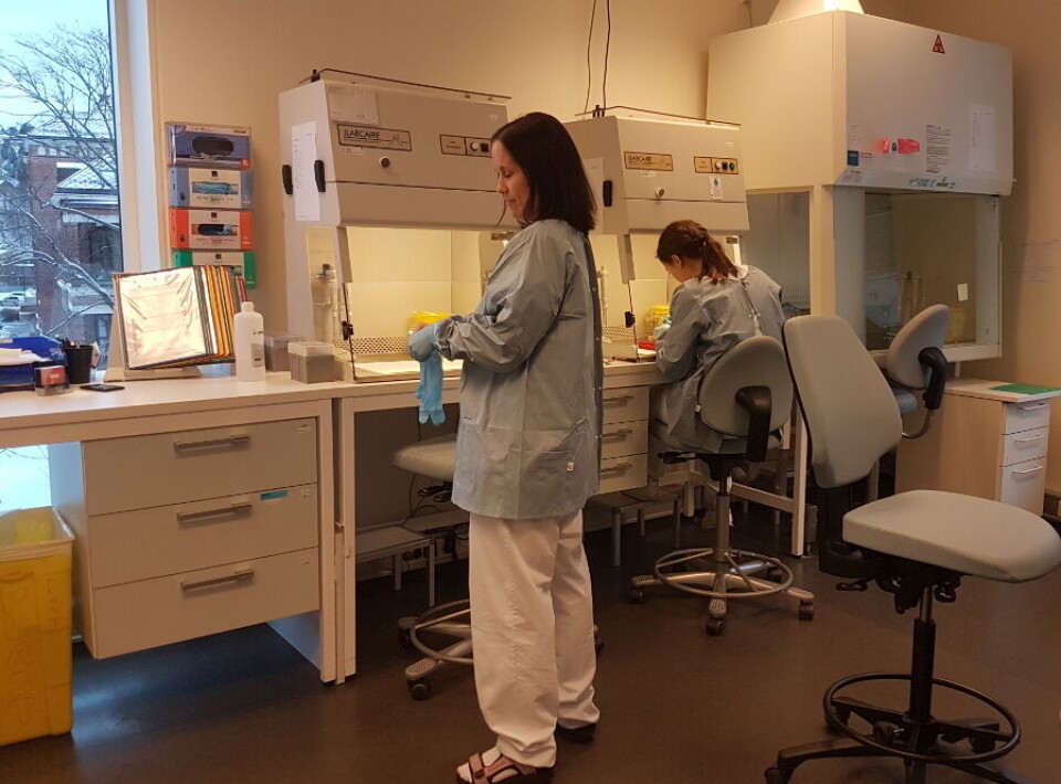 Torunn Dahlø og Lin Gunhild Rygg Bruvoll, ved PCR set-up lab. AMM.