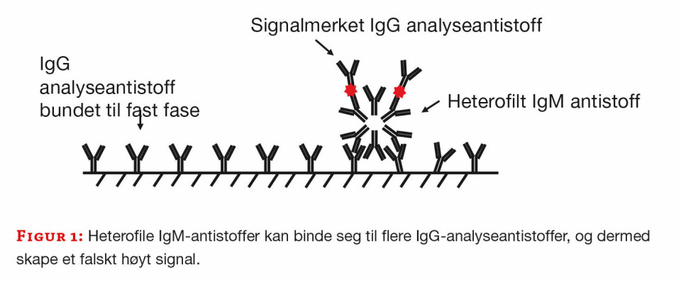 Interferens i immunologiske metoder – erfaringer fra en laboratoriehverdag