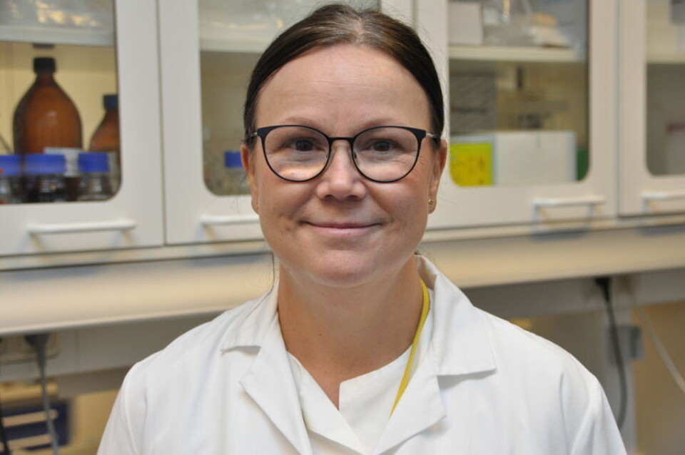Bioingeniør Eldri Undlien Due er en av fire som skal ta seg av laboratoriet gjennom koronakrisen. Foto: Svein A. Liljebakk