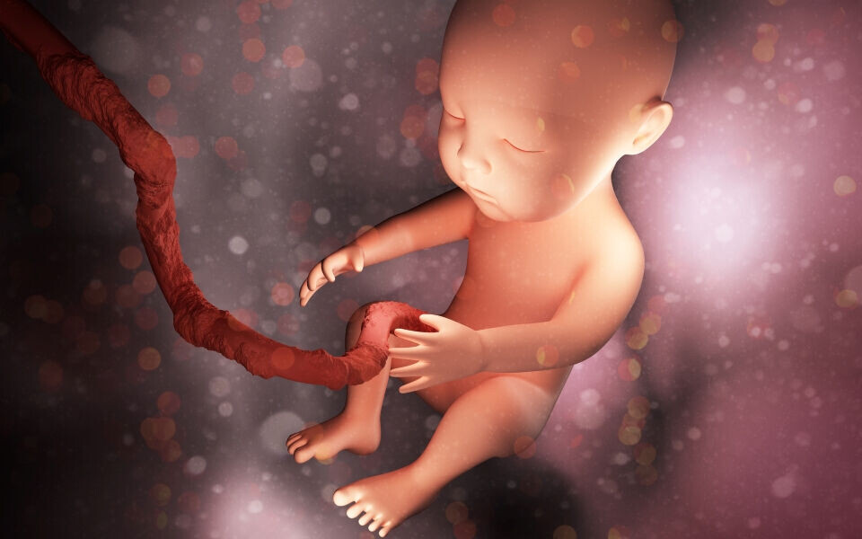 Fremtidens bioteknologi kan innebære revolusjonerende endringer, fra livets begynnelse til alderdommen. Illustrasjon: iStock
