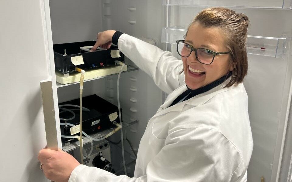 Hildegunn Dahl viser fram eksempel på egenutviklet metode: 'Hjemmelagde' elektroforesekar for analyse av DNA-skade med kometmetoden, som kan ta opptil 700 prøver samtidig. Foto: Grete Hansen