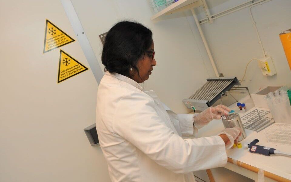 Menaka Andersen isolerer T- og B-lymfocytter fra donors blod. Foto: Svein A. Liljebakk
