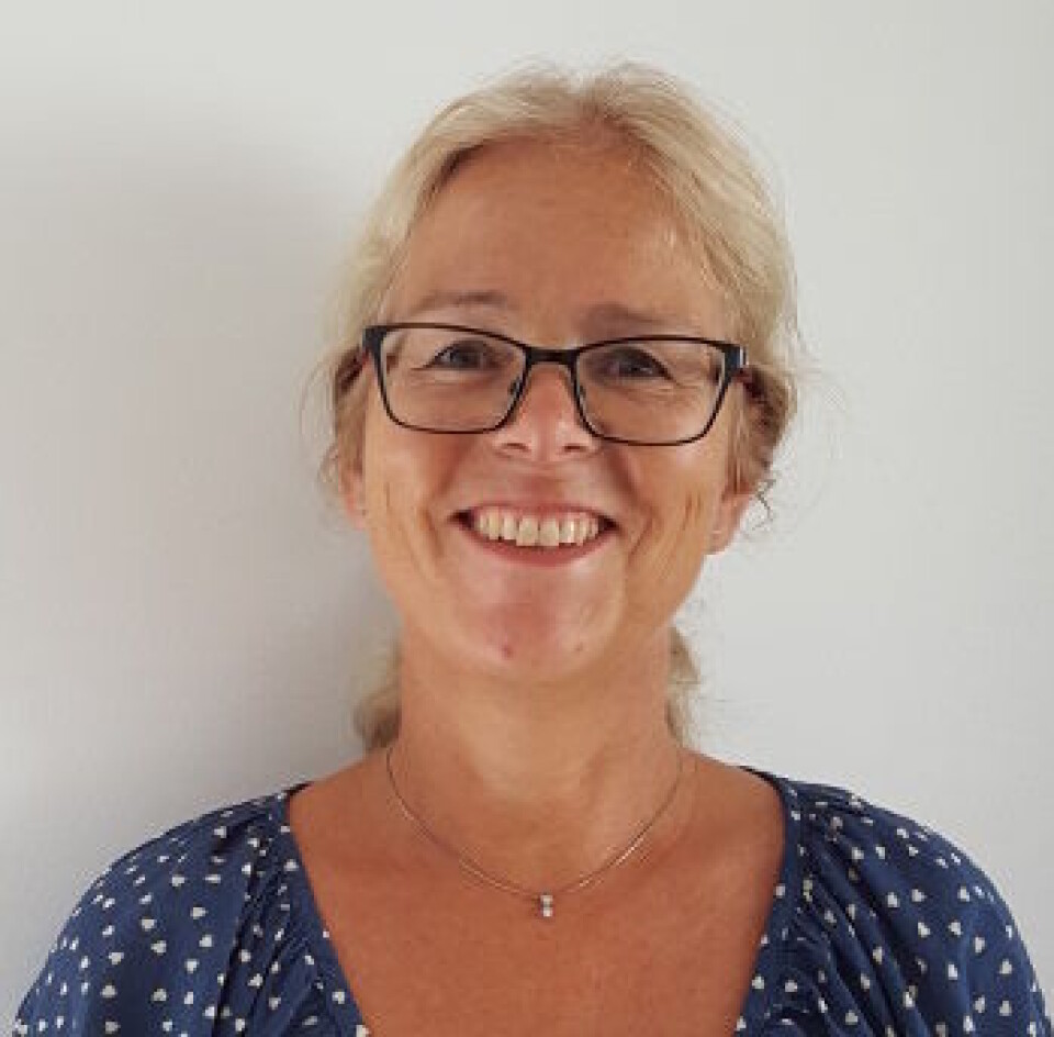 Wenche Sjursen, førsteamanuensis ved NTNU. (Foto: Privat) Wenche Sjursen, førsteamanuensis ved NTNU. (Foto: Privat)