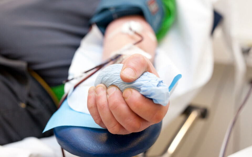 Foto: Annette Larsen