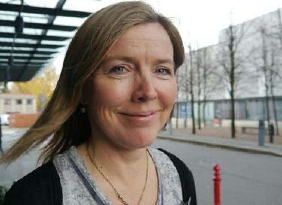 Arbeidslivsdirektør Anne Turid Wikdahl i Spekter. Foto: Grete Hansen Anne Turid Wikdahl