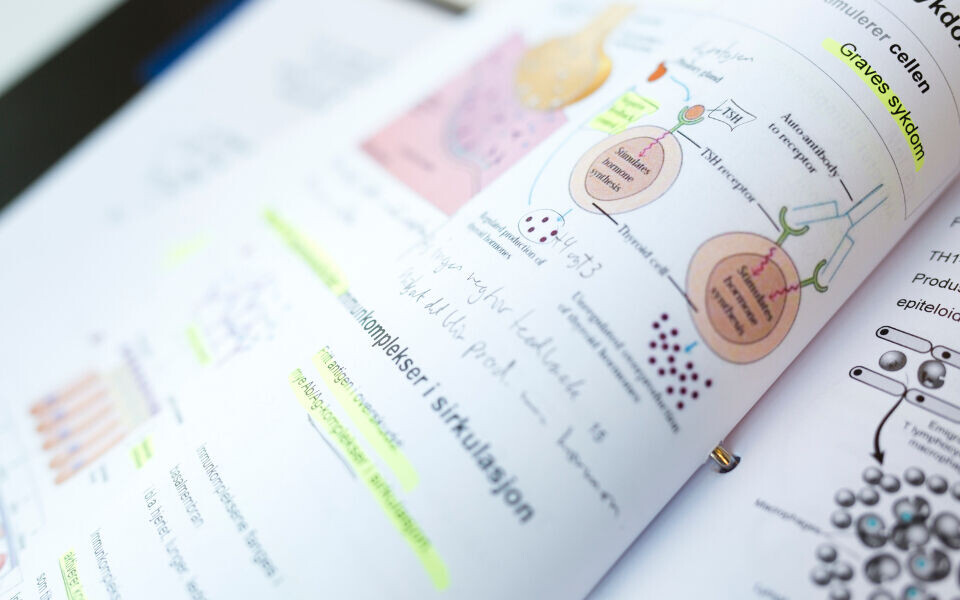 NITO tror behovet for bioingeniører vil øke, og mener det bør utdannes flere. Illustrasjonsfoto: Annette Larsen