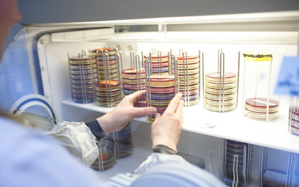 Illustrasjonsfoto: Annette Larsen