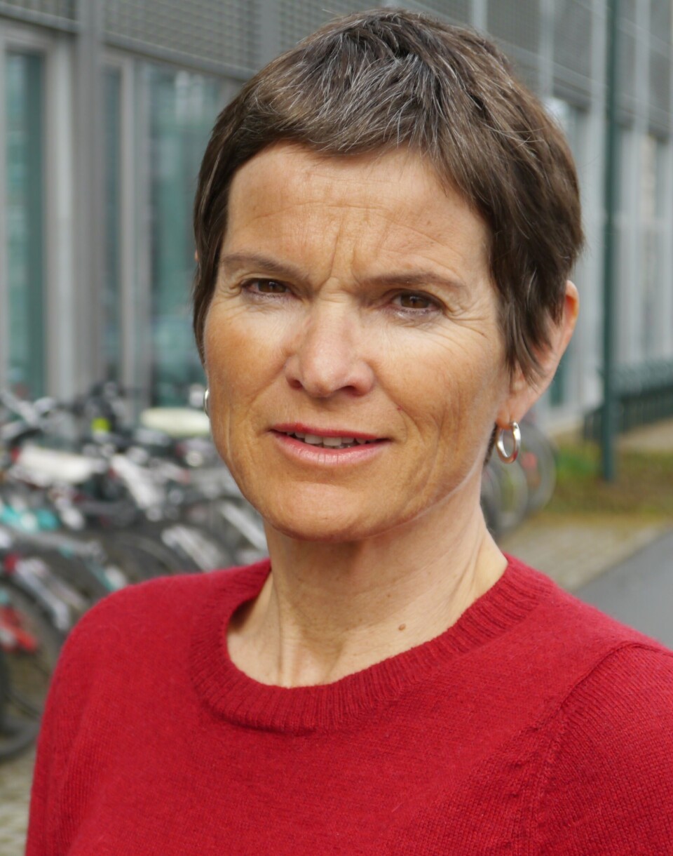 Liv Thommesen, professor ved bioingeniørutdanningen i Trondheim. Liv Thommesen