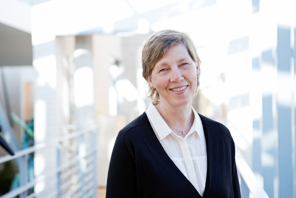 Studieleder Anne Røsvik. Foto: Kristin Støylen Anne Røsvik