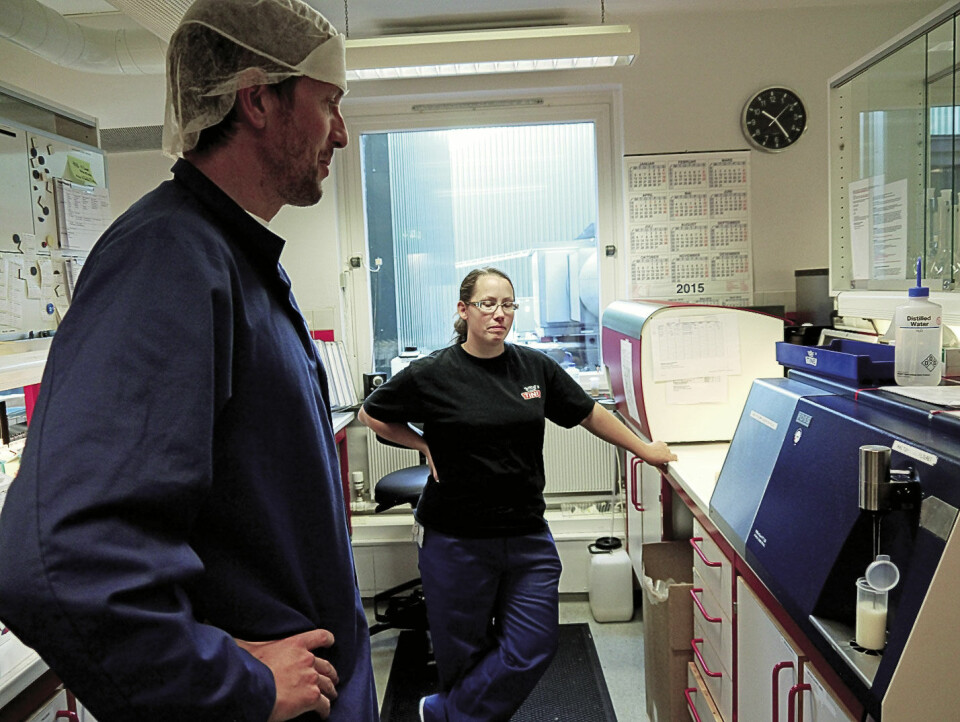 Testing av en batch laktoseredusert melk, mens produsenten venter. Foto: Grete Hansen Testing av en batch laktoseredusert melk.